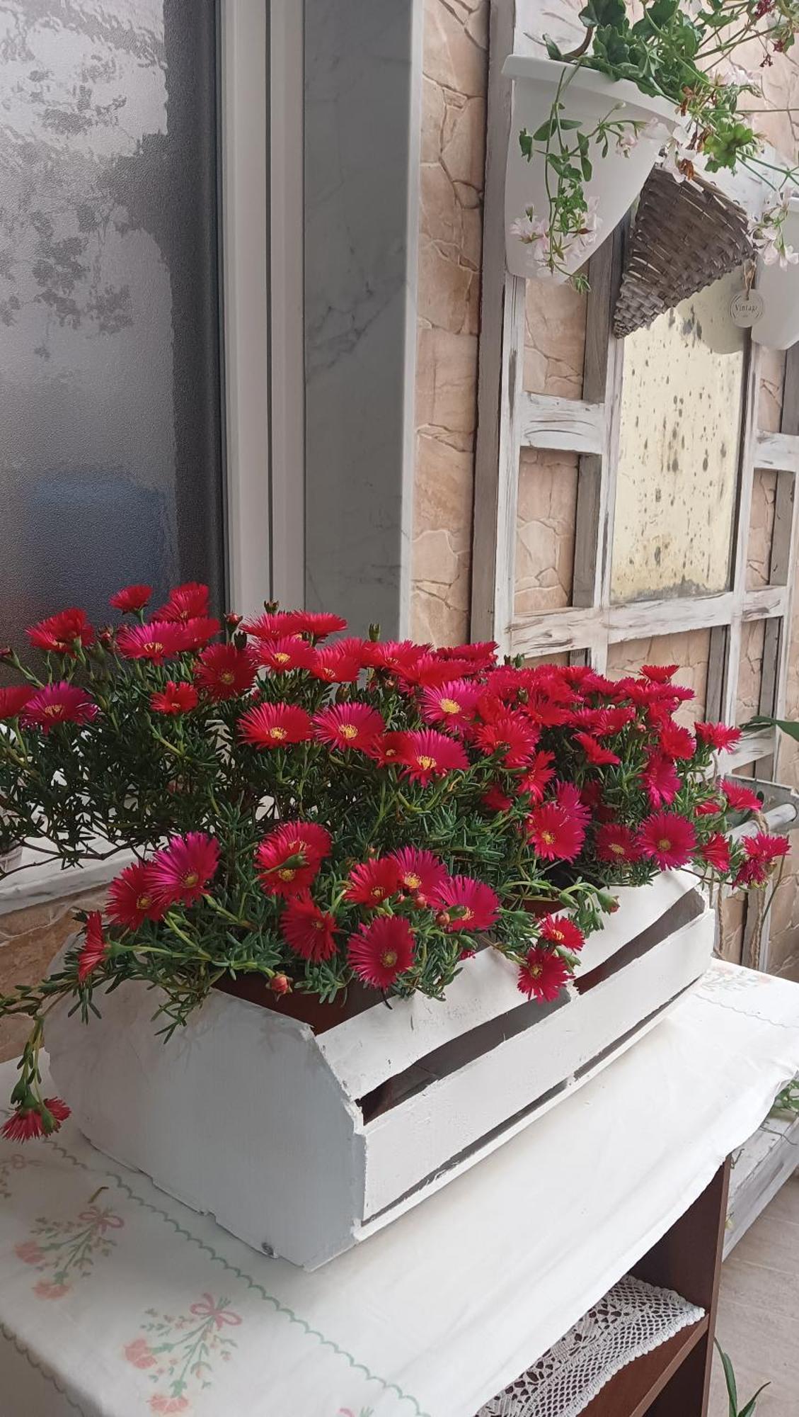 Le 3 Dee Bed and Breakfast Ρέτζιο ντι Καλάμπρια Δωμάτιο φωτογραφία